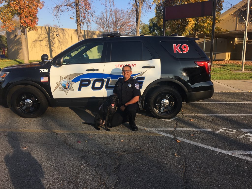 Officer Brito and K9 Bailey